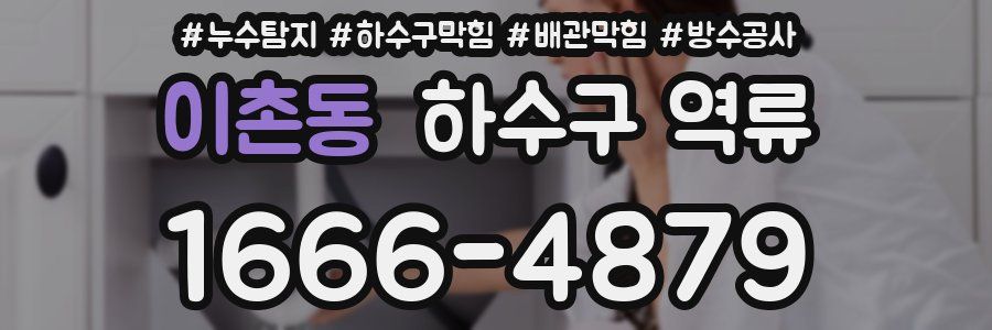 이촌동 하수구 역류