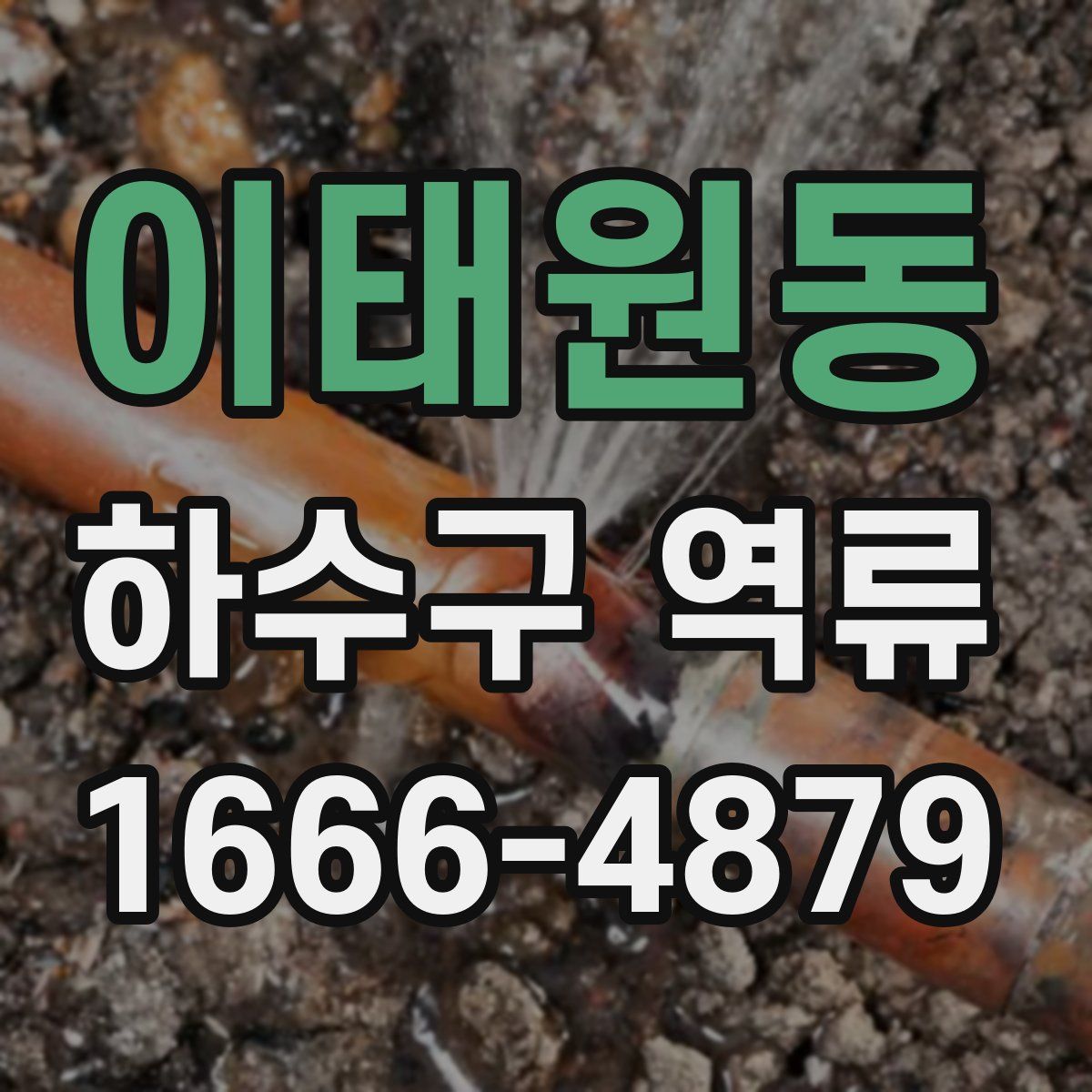 이태원동 하수구 역류