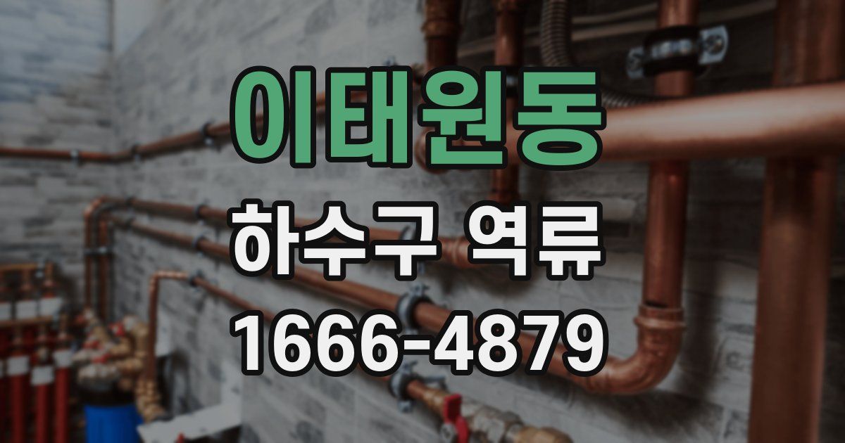 이태원동 하수구 역류
