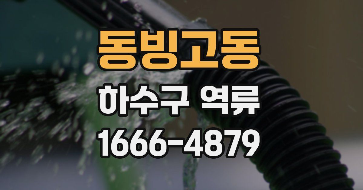 동빙고동 하수구 역류