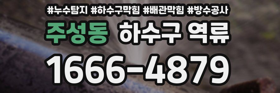주성동 하수구 역류