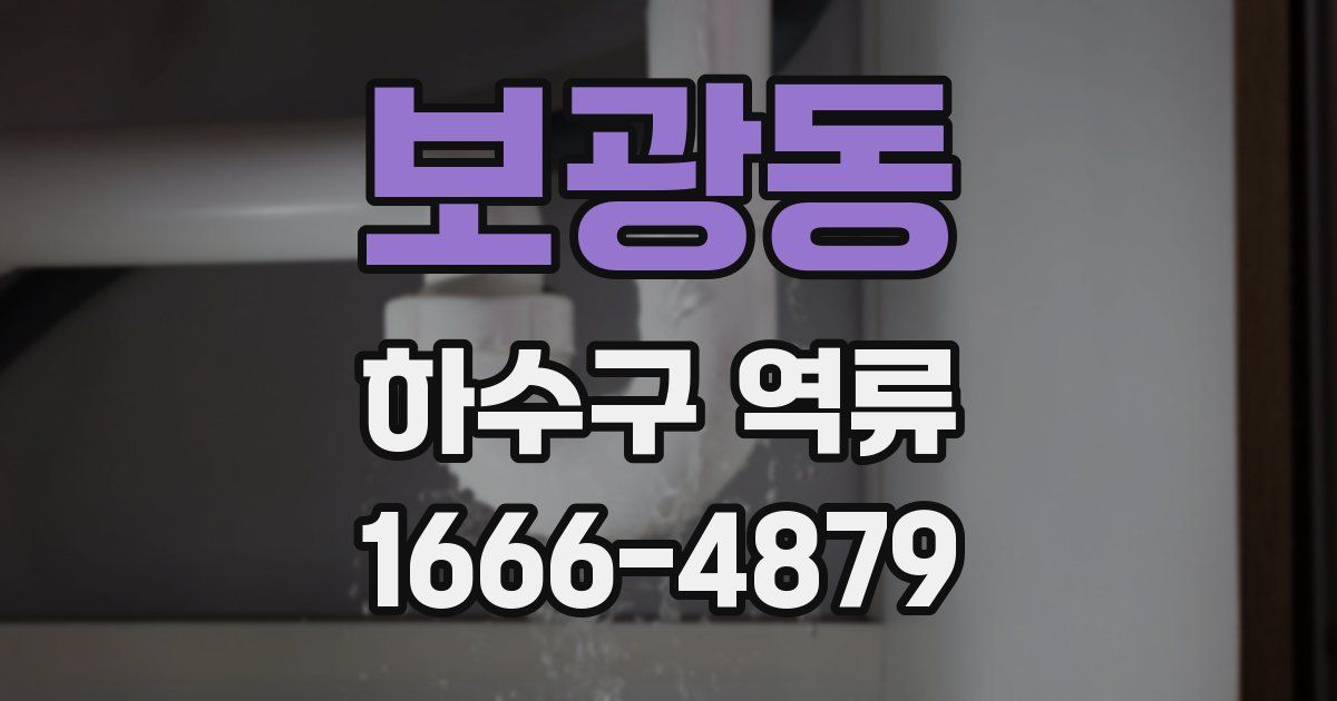 보광동 하수구 역류