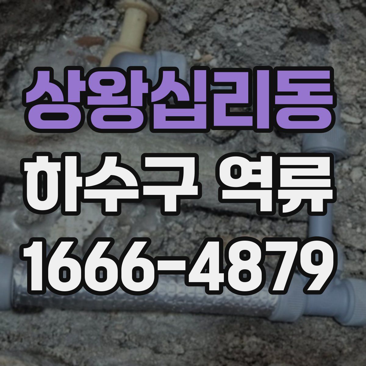 상왕십리동 하수구 역류