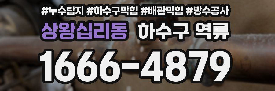 상왕십리동 하수구 역류