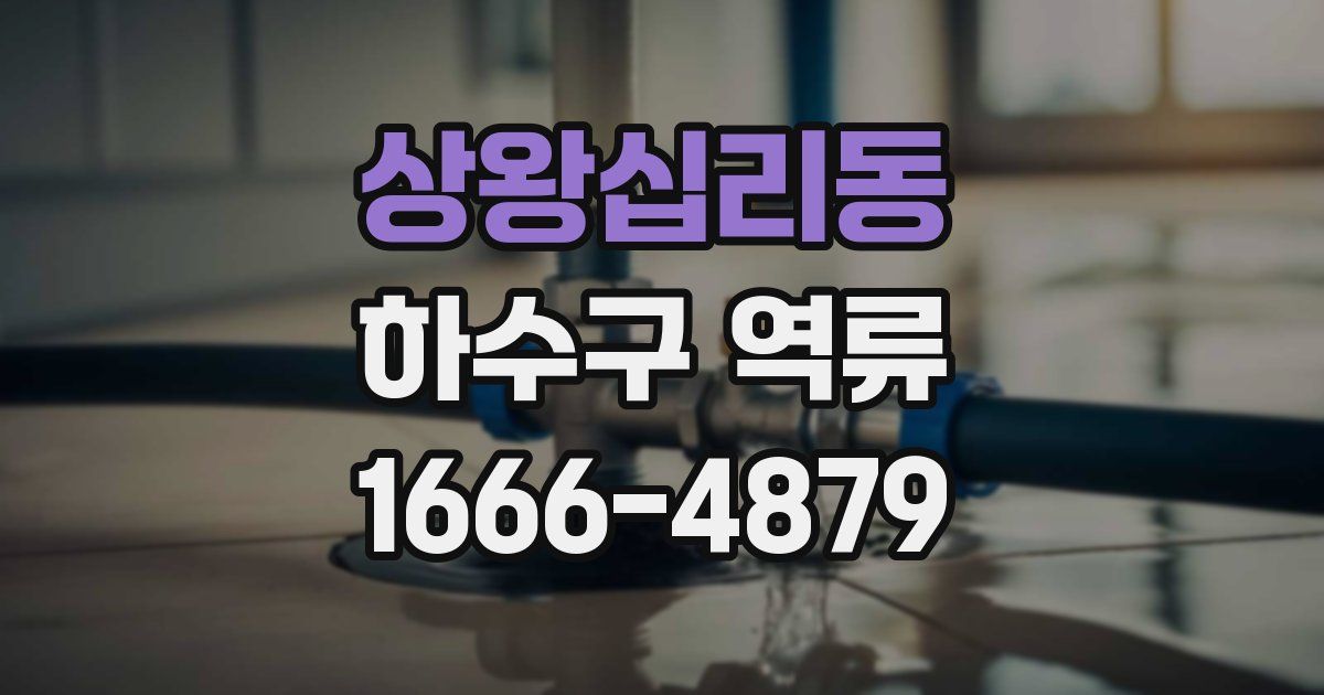 상왕십리동 하수구 역류