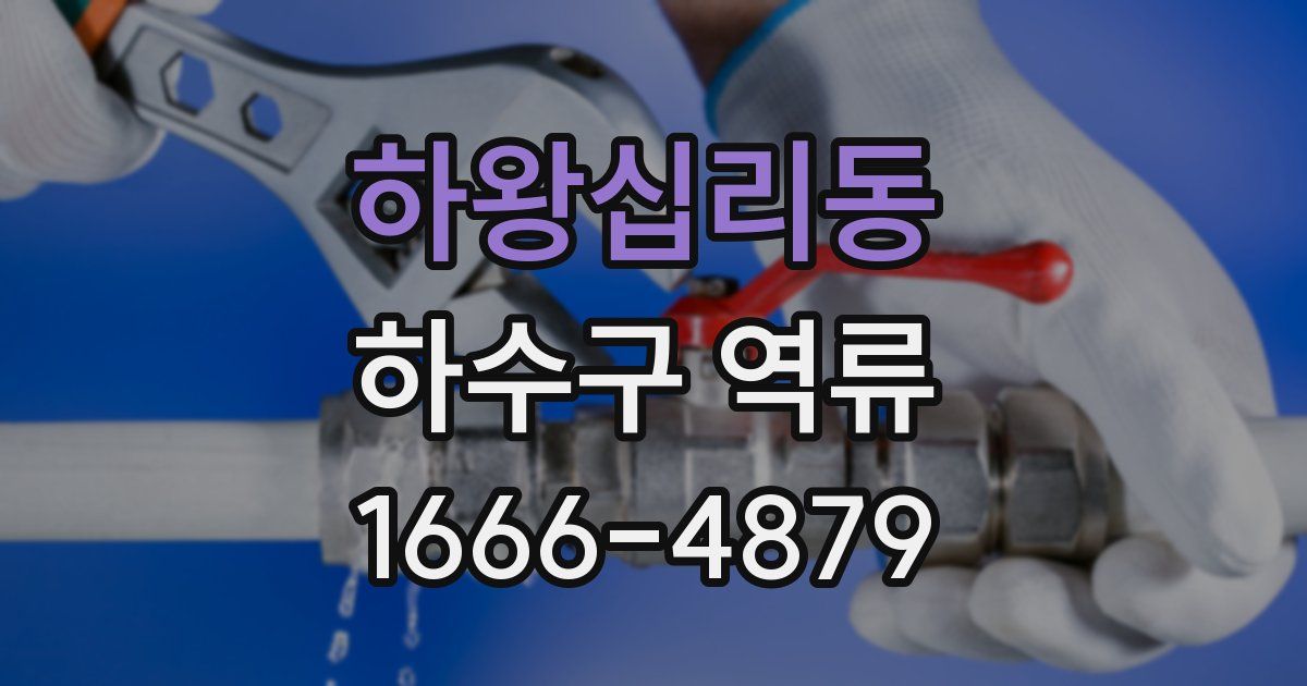 하왕십리동 하수구 역류