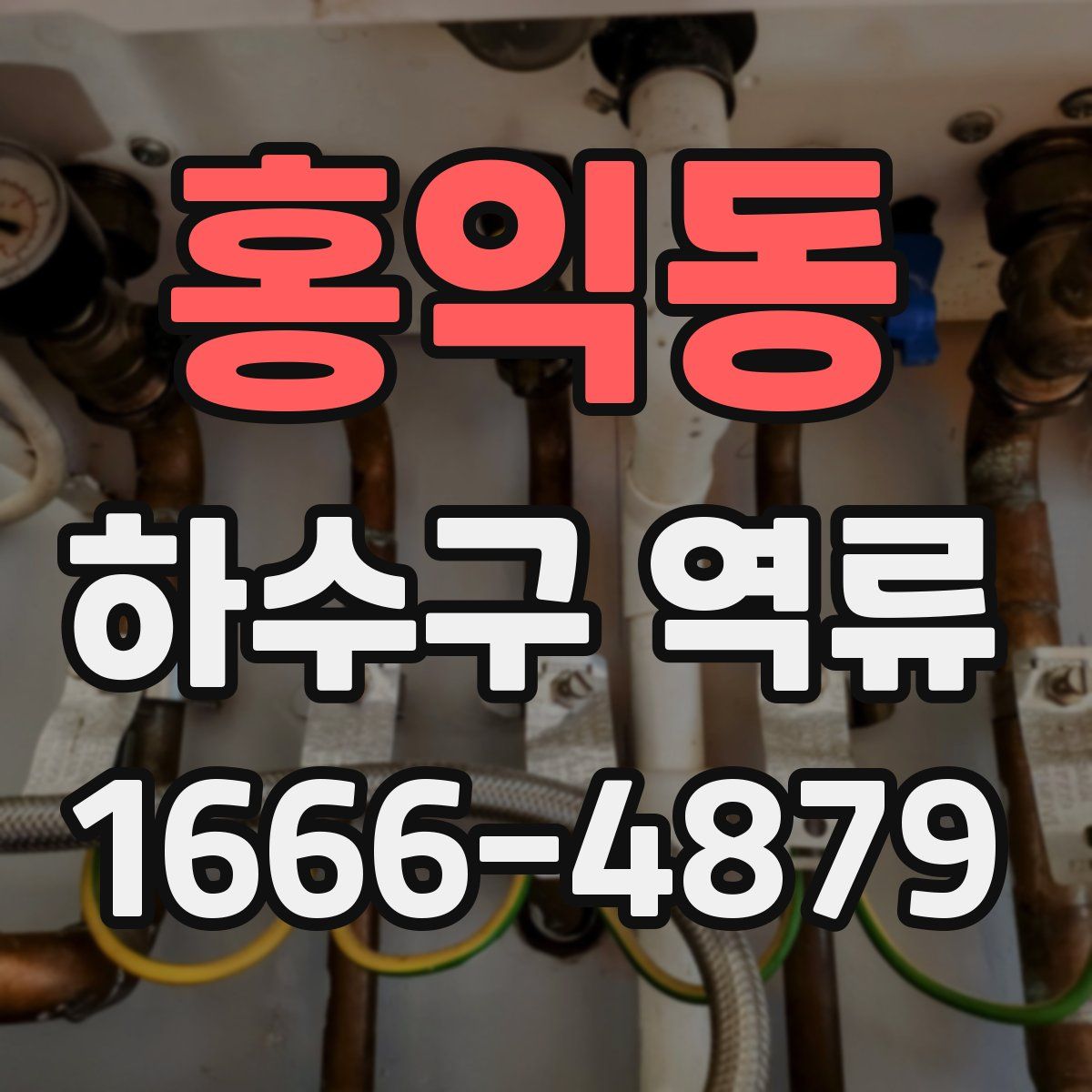 홍익동 하수구 역류