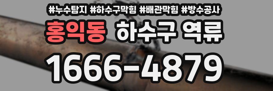 홍익동 하수구 역류