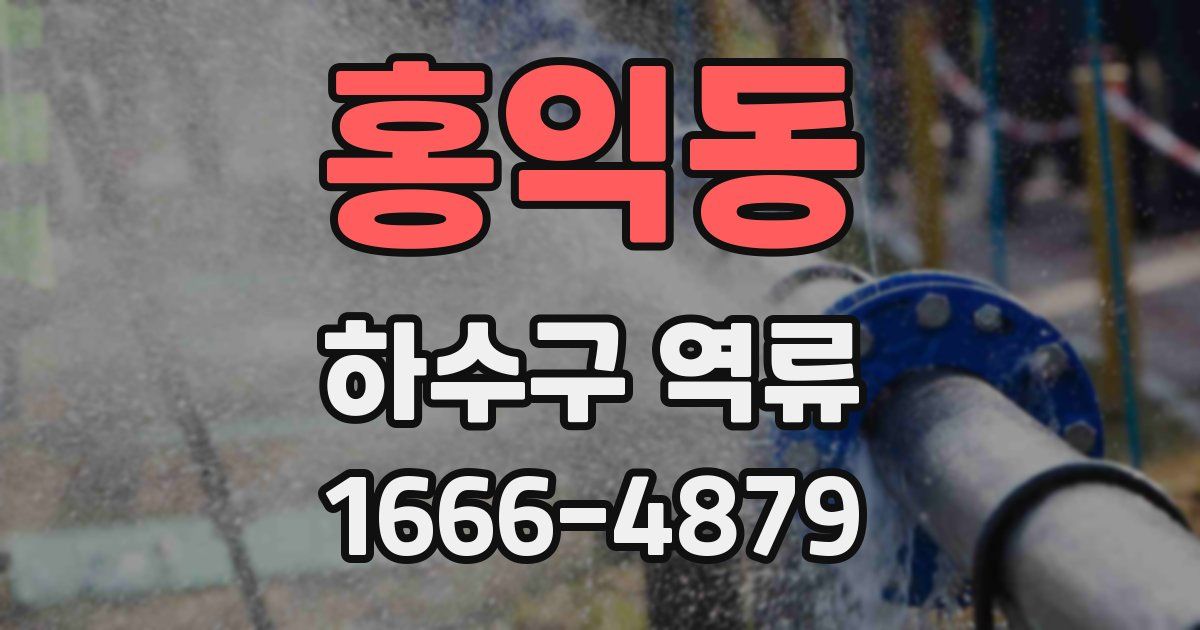홍익동 하수구 역류