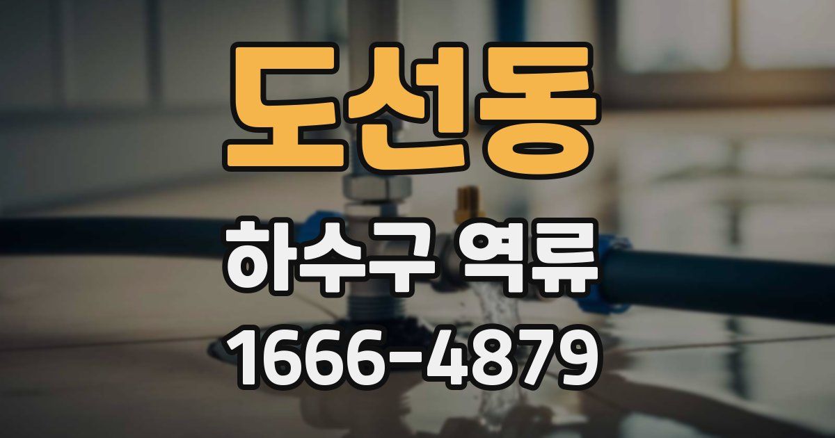 도선동 하수구 역류