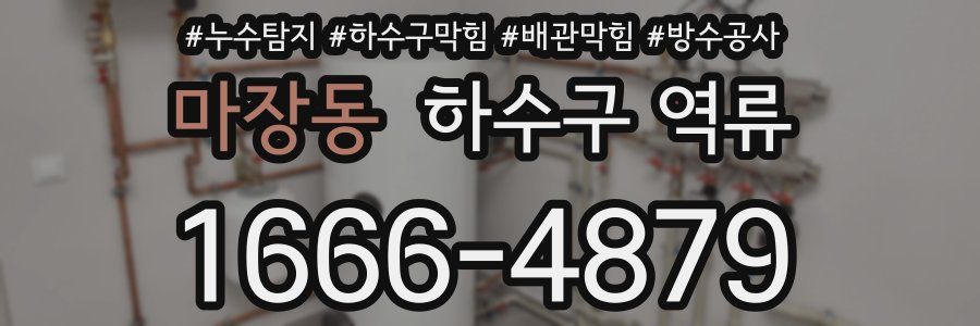 마장동 하수구 역류