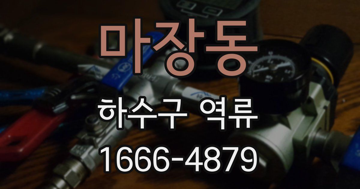 마장동 하수구 역류