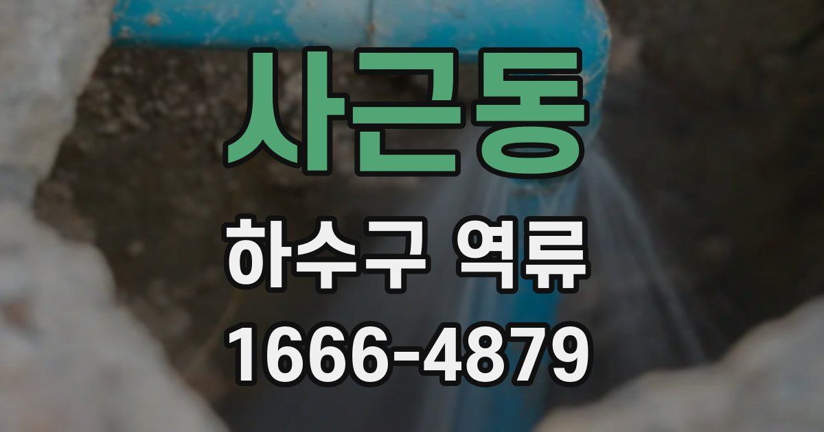 사근동 하수구 역류
