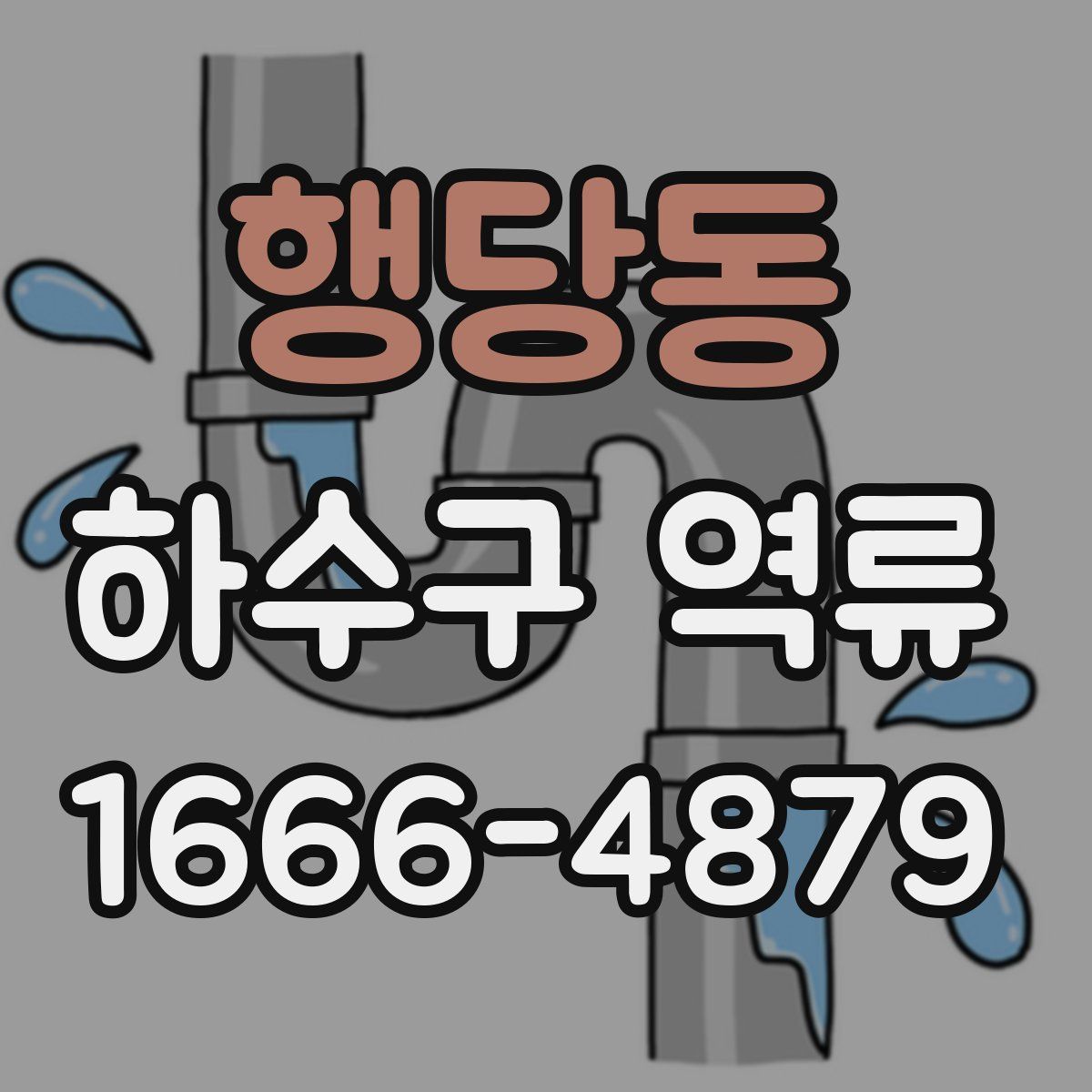 행당동 하수구 역류