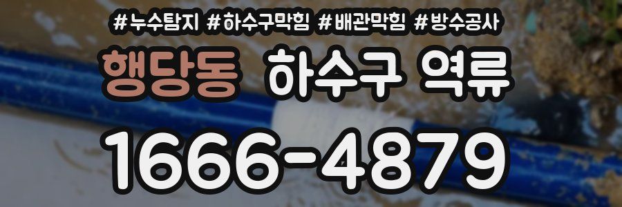 행당동 하수구 역류