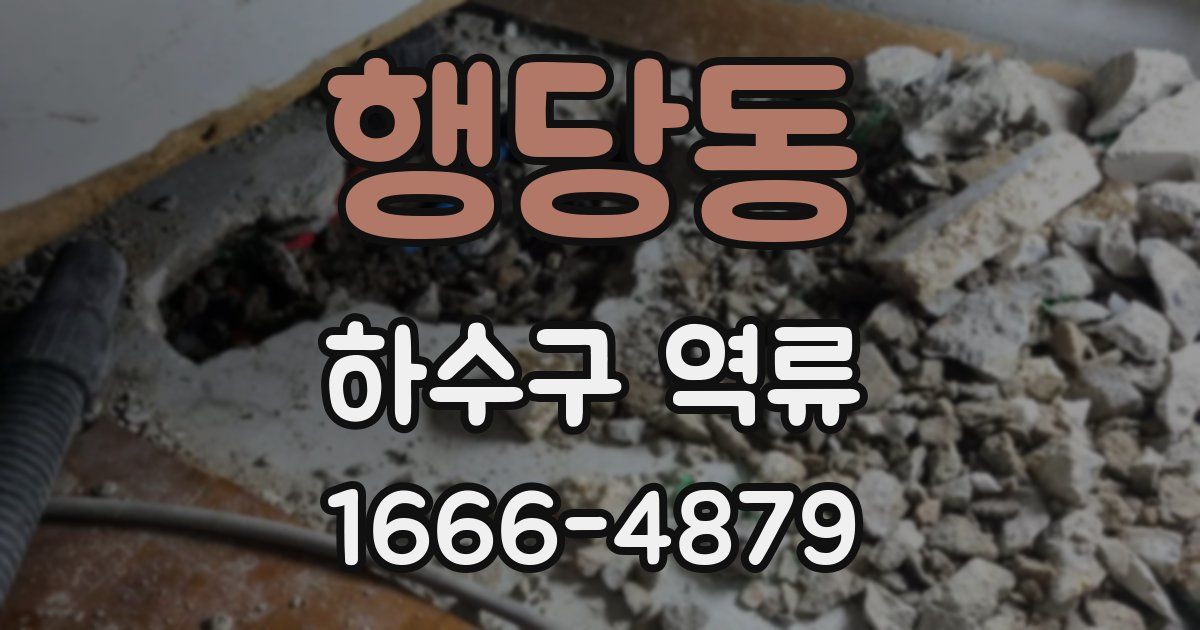 행당동 하수구 역류