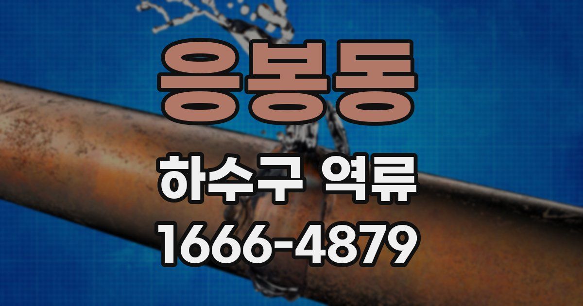 응봉동 하수구 역류