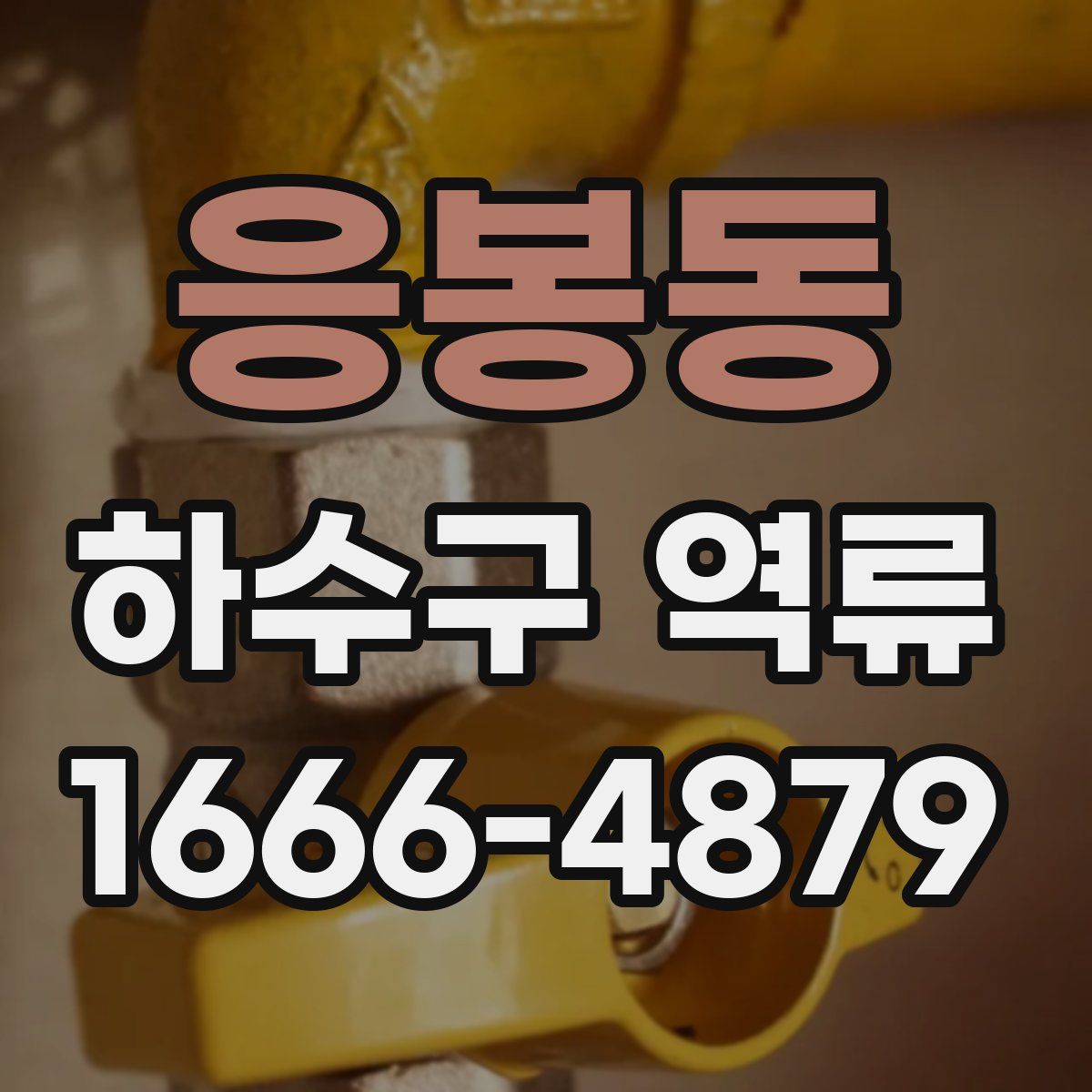 응봉동 하수구 역류