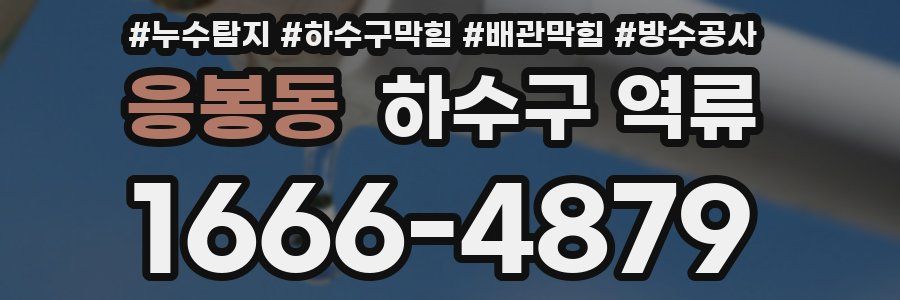 응봉동 하수구 역류