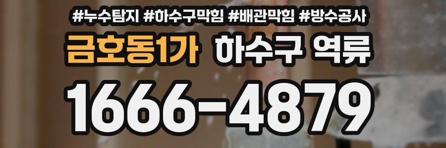금호동1가 하수구 역류