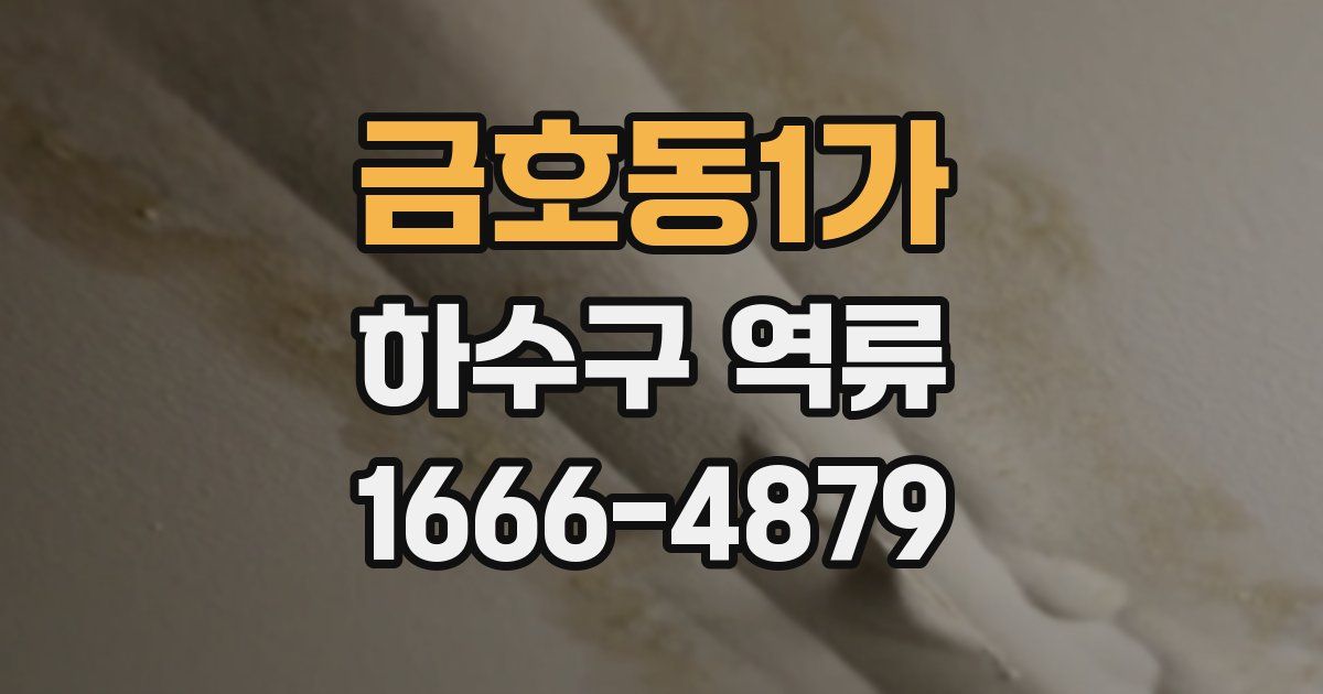 금호동1가 하수구 역류