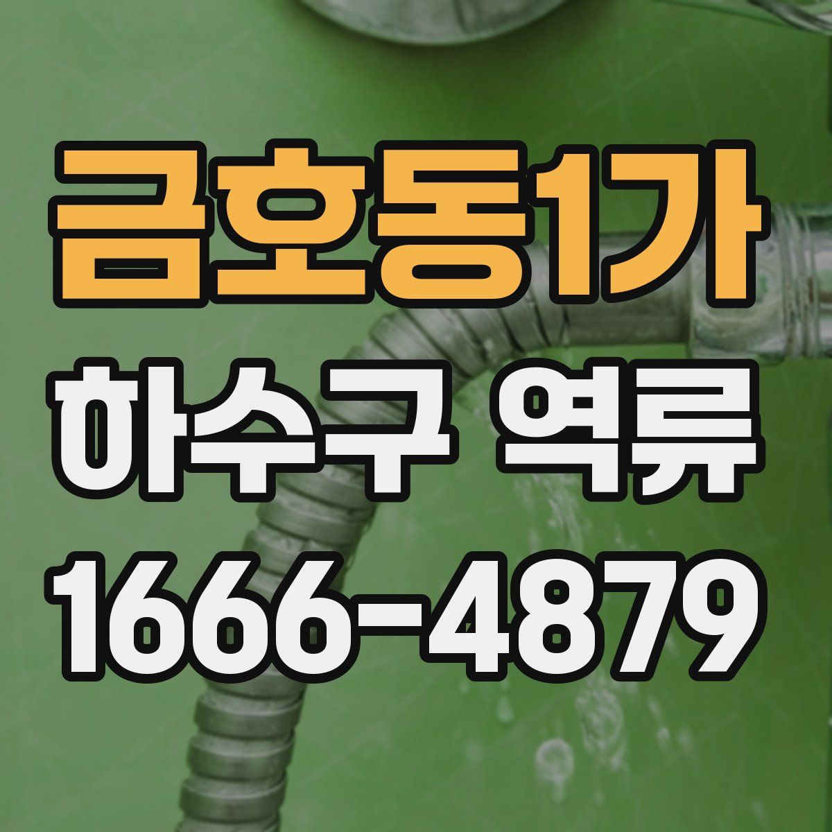금호동1가 하수구 역류