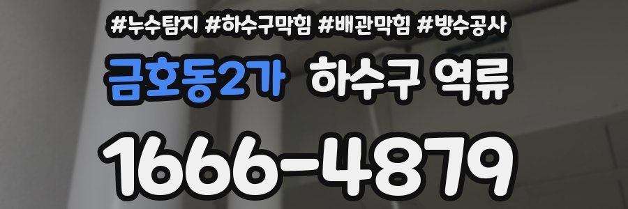 금호동2가 하수구 역류