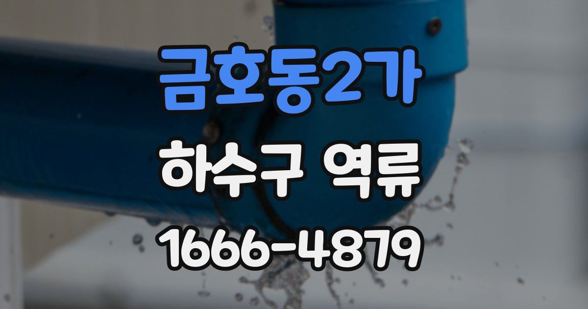금호동2가 하수구 역류
