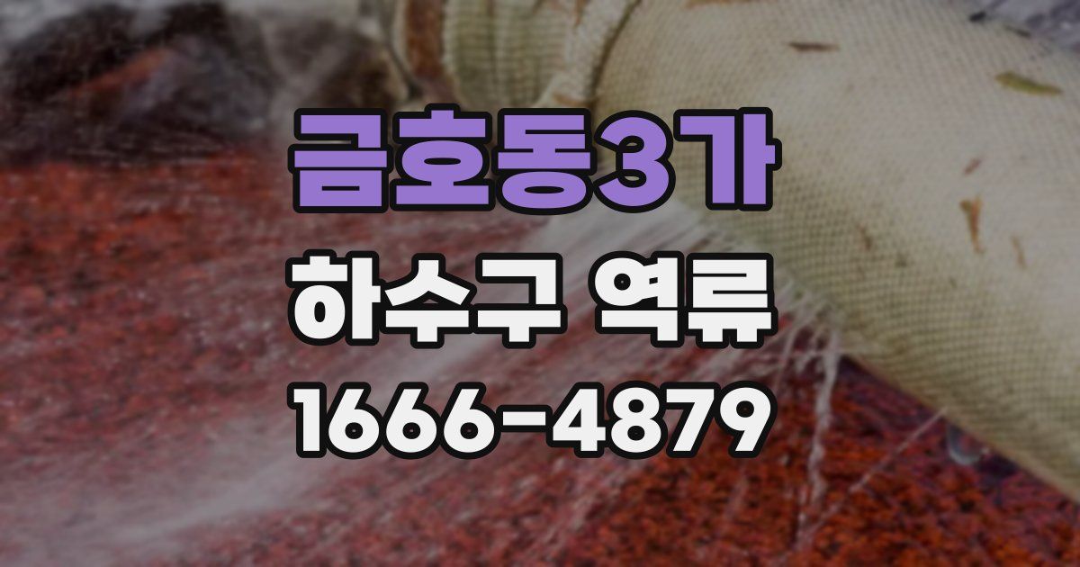 금호동3가 하수구 역류