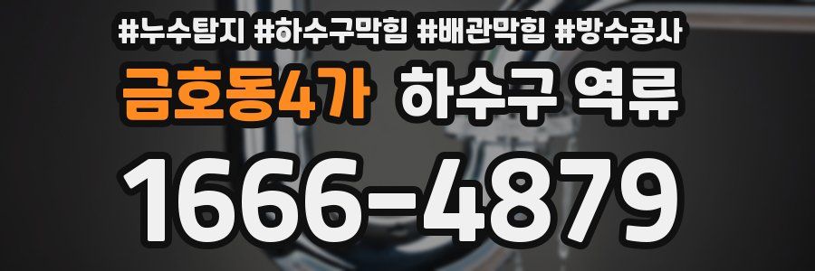 금호동4가 하수구 역류