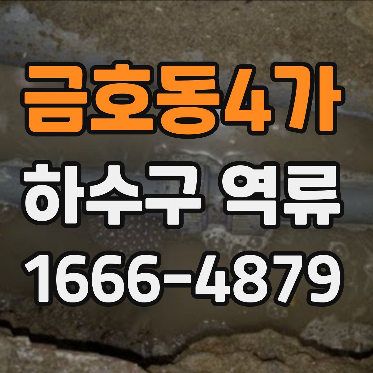금호동4가 하수구 역류
