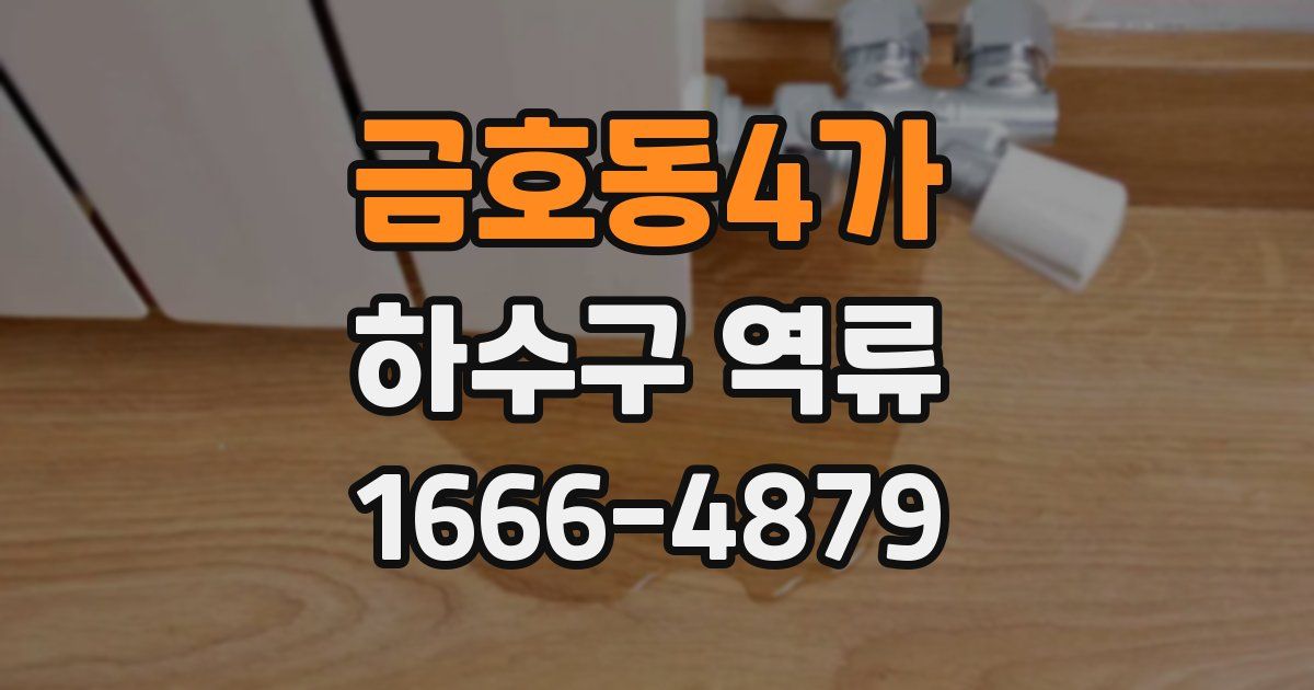 금호동4가 하수구 역류
