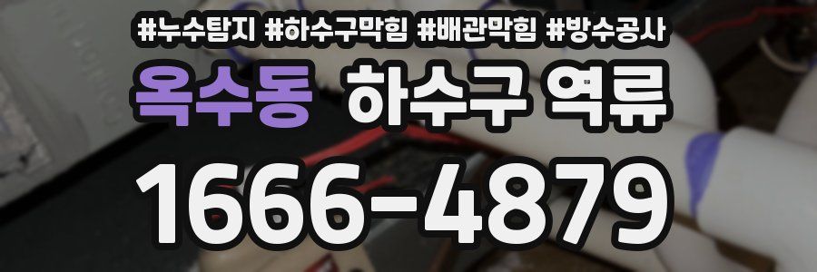 옥수동 하수구 역류