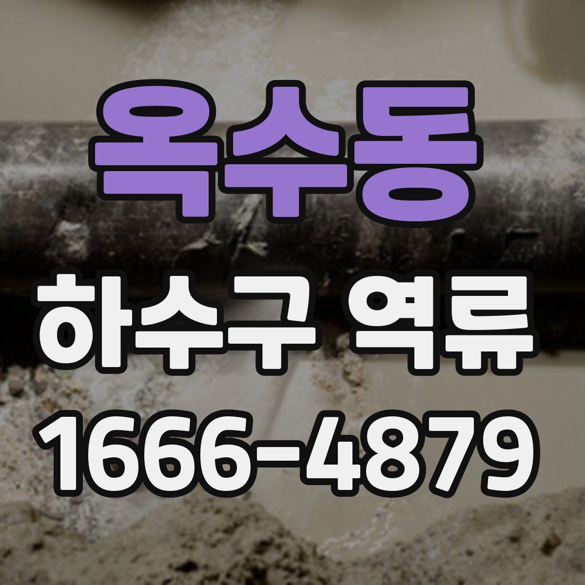옥수동 하수구 역류