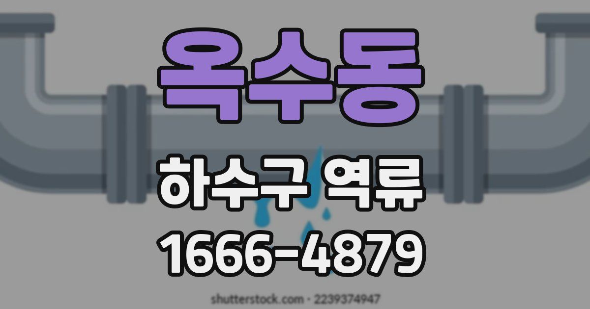 옥수동 하수구 역류