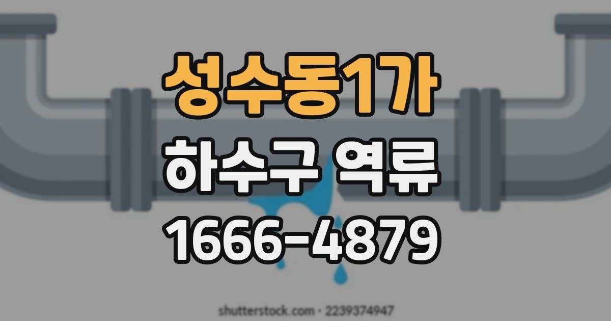 성수동1가 하수구 역류