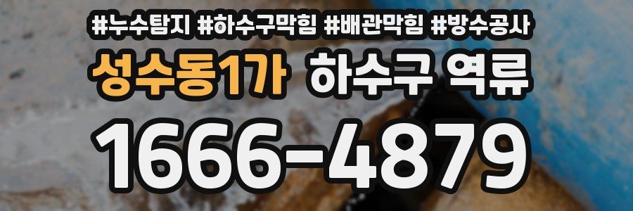 성수동1가 하수구 역류