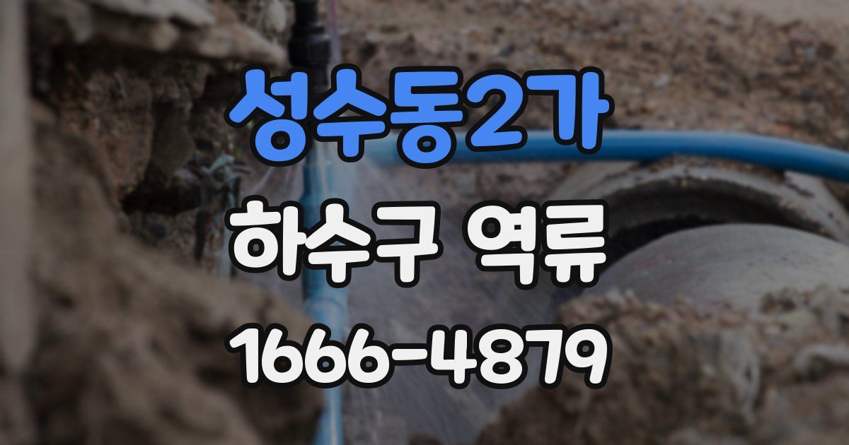 성수동2가 하수구 역류
