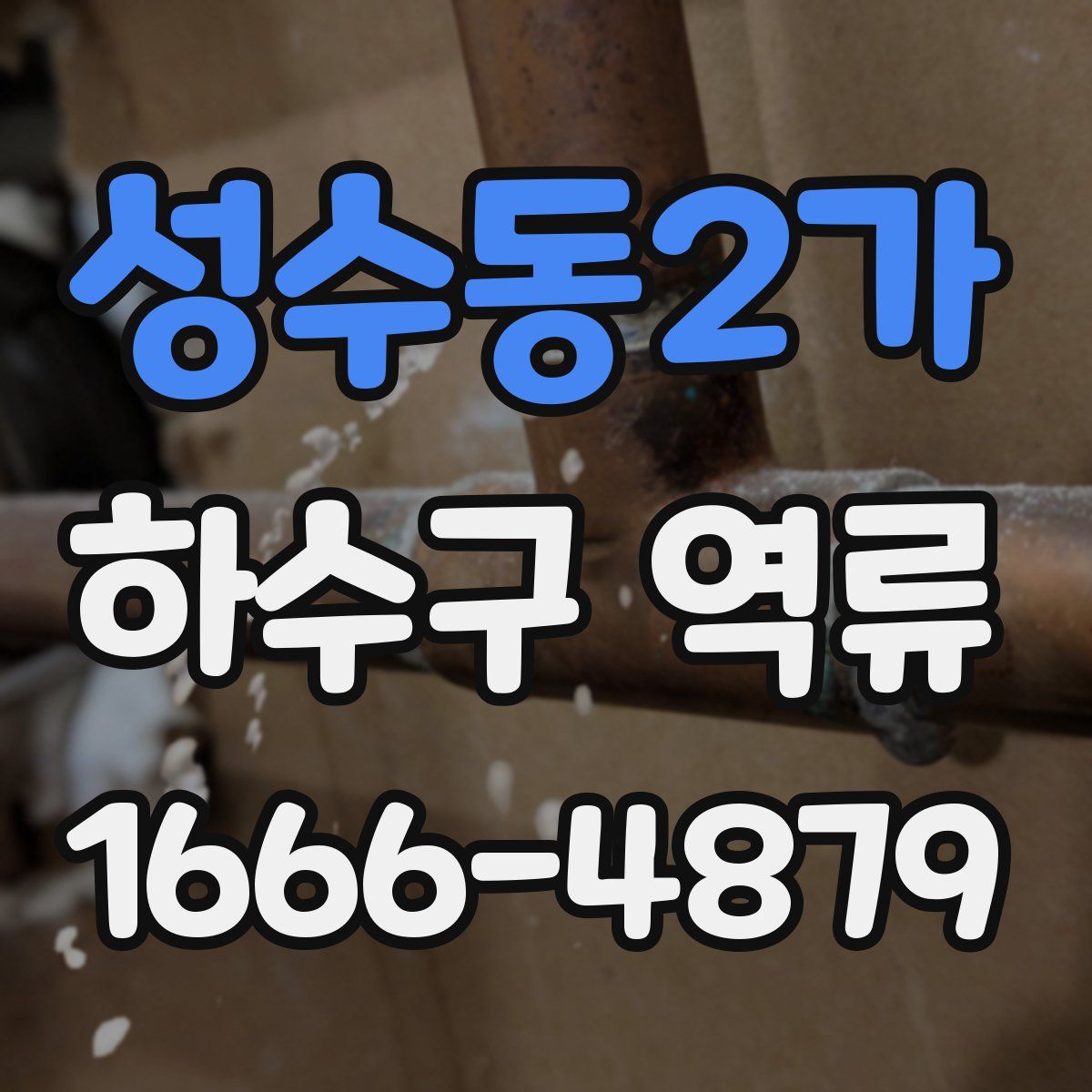 성수동2가 하수구 역류