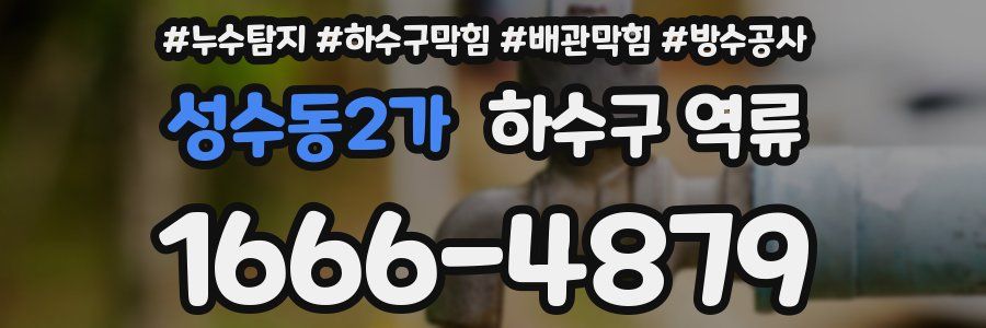 성수동2가 하수구 역류