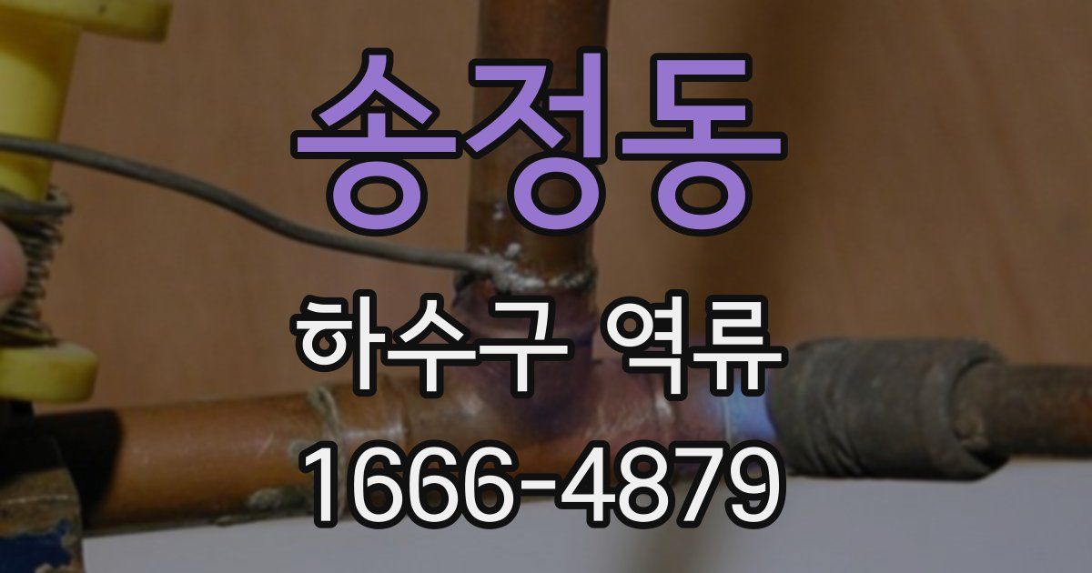 송정동 하수구 역류