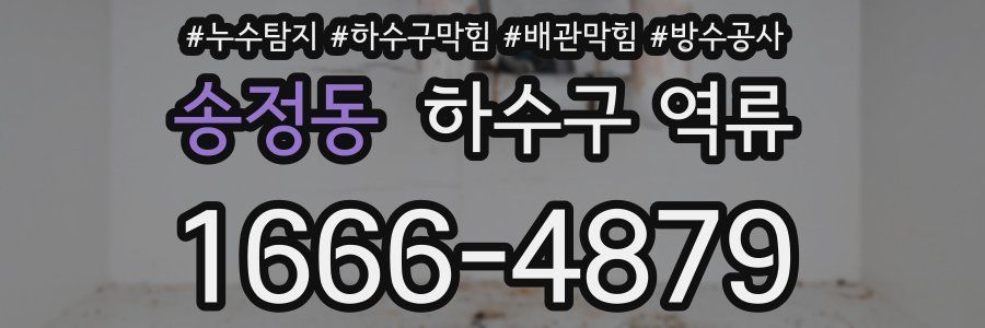 송정동 하수구 역류