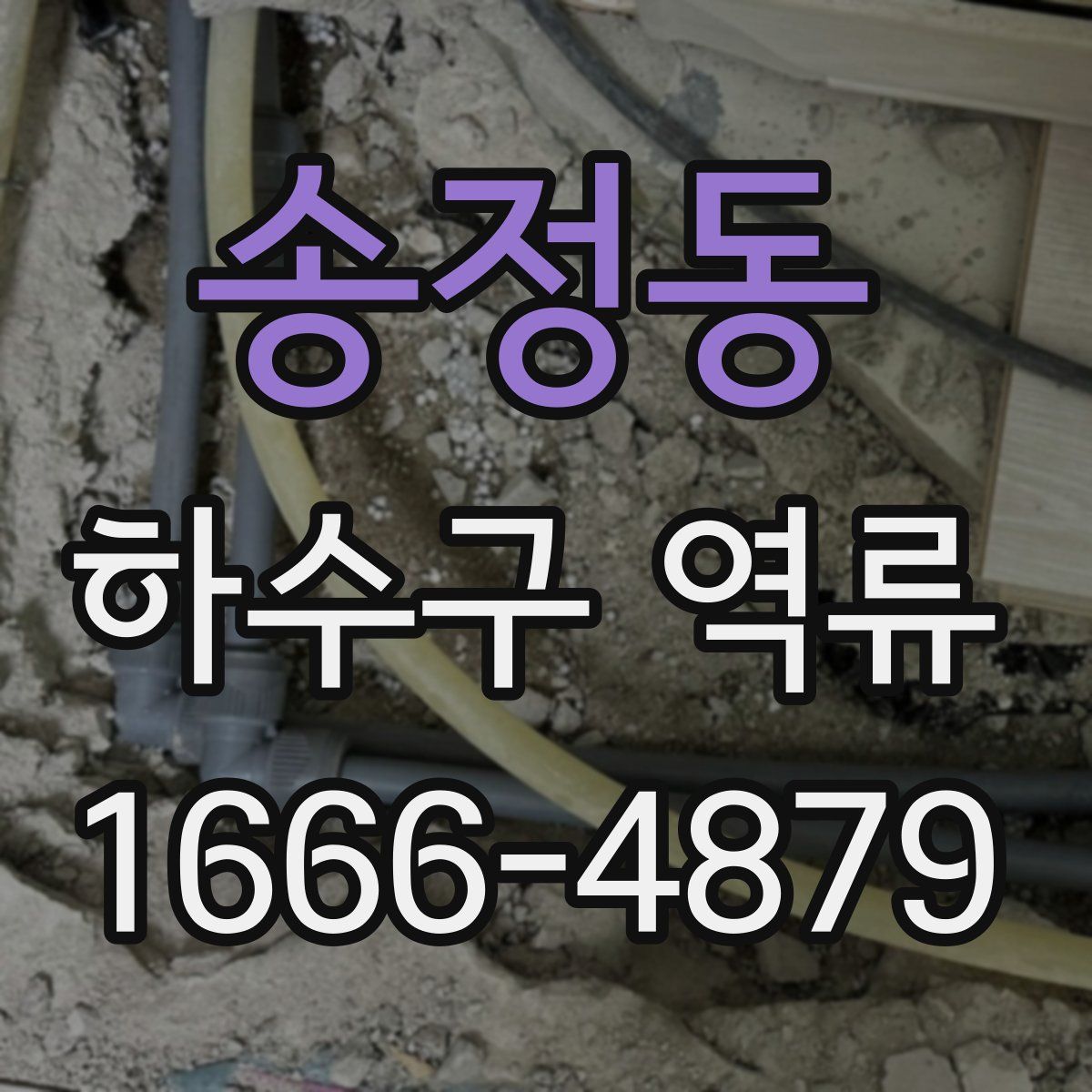 송정동 하수구 역류