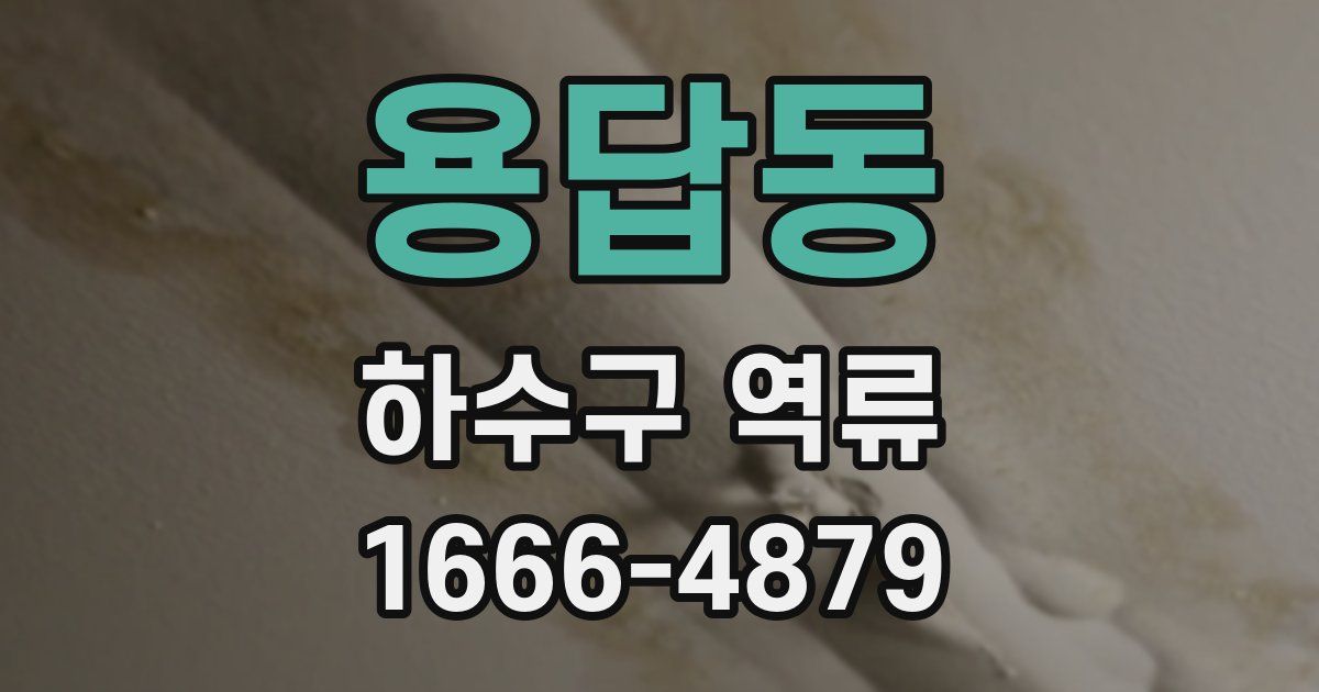 용답동 하수구 역류