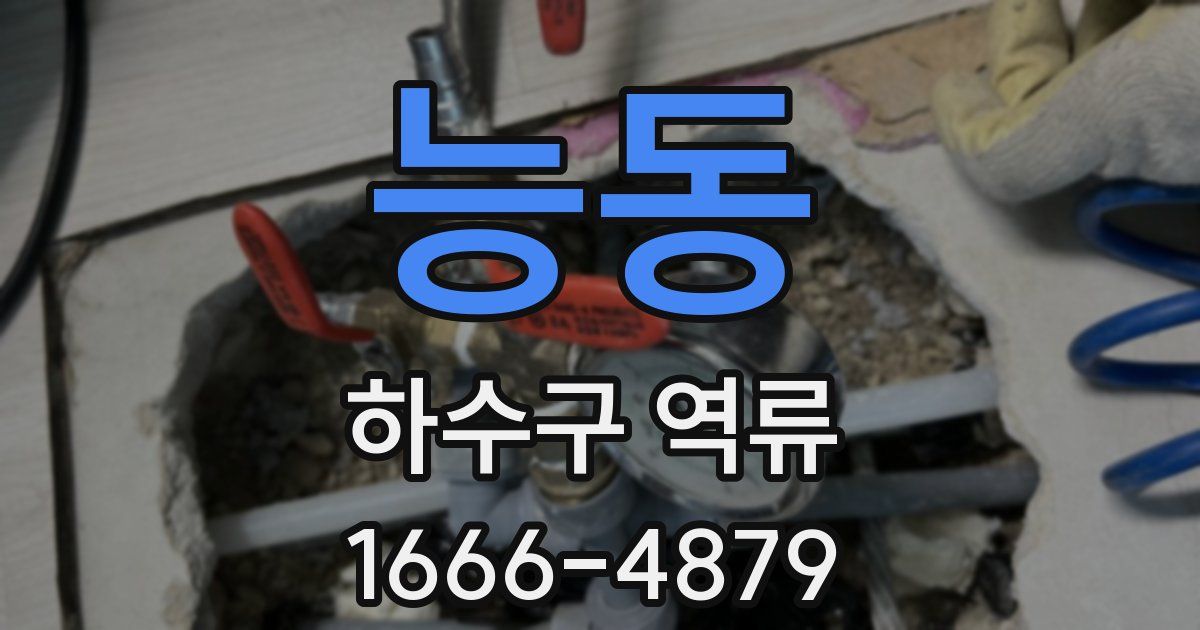 능동 하수구 역류