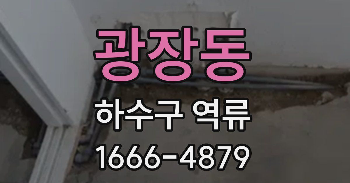 광장동 하수구 역류