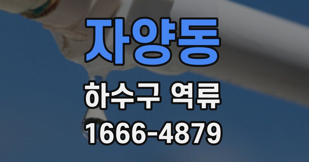 자양동 하수구 역류