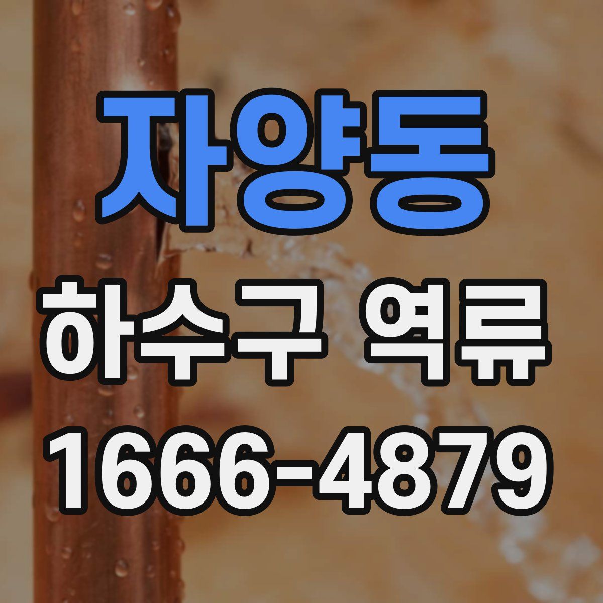자양동 하수구 역류