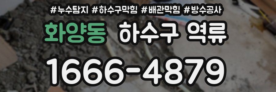 화양동 하수구 역류