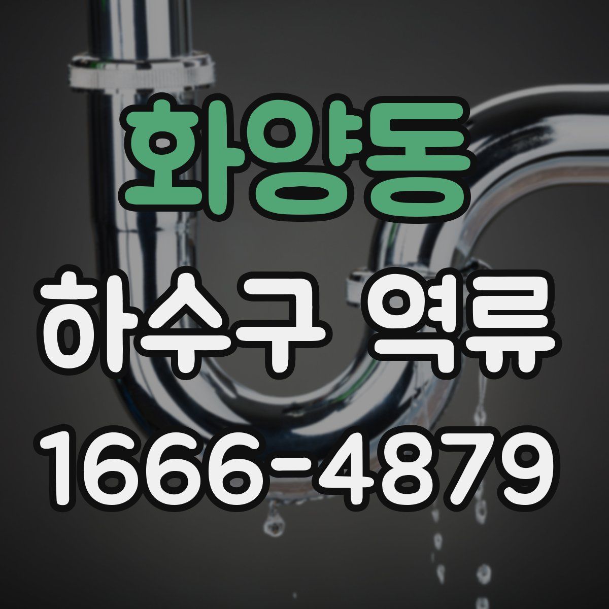 화양동 하수구 역류